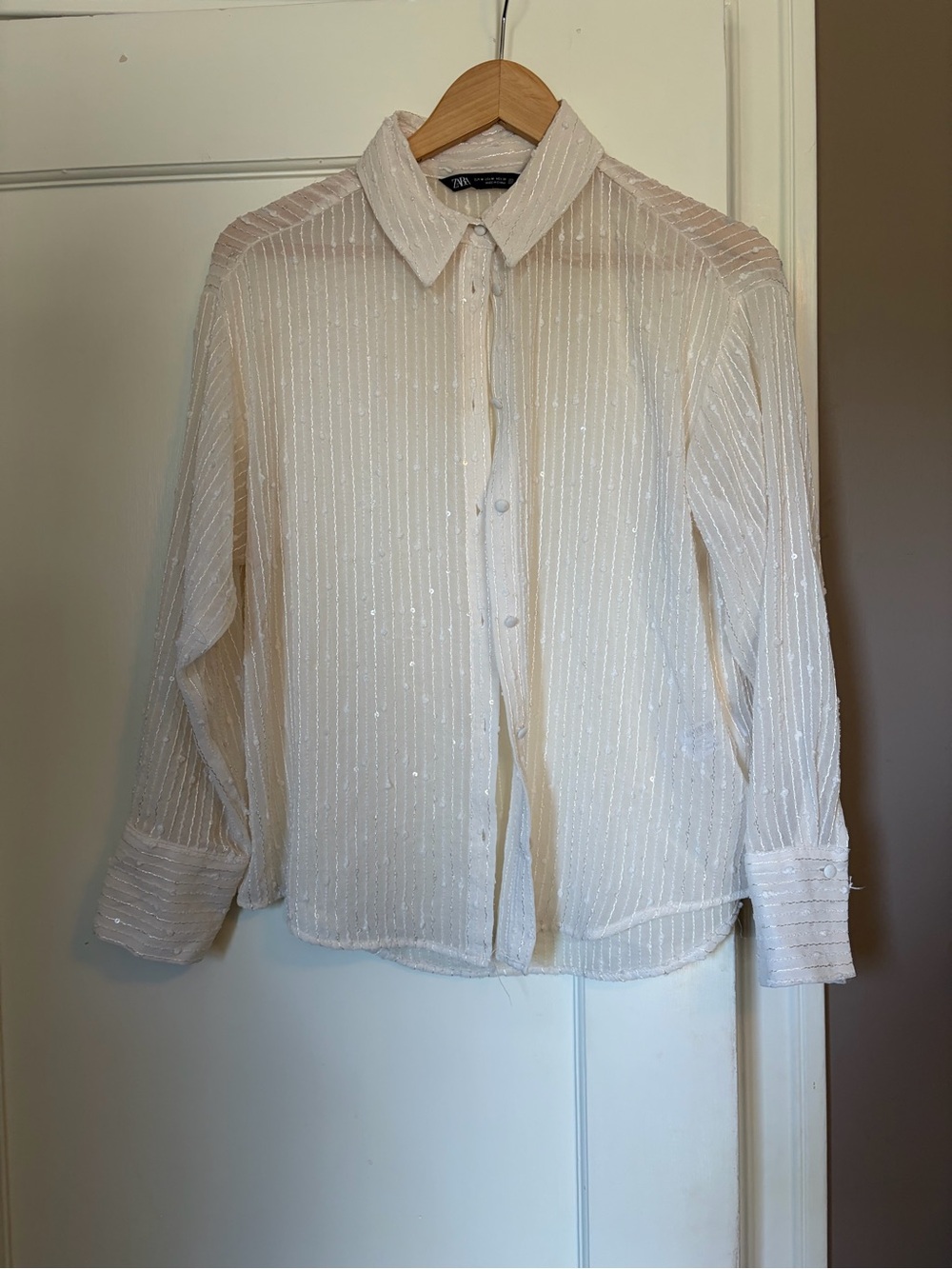 Zara Sheer Blouse in Soft Ivory with Subtle Stripes and sparkles